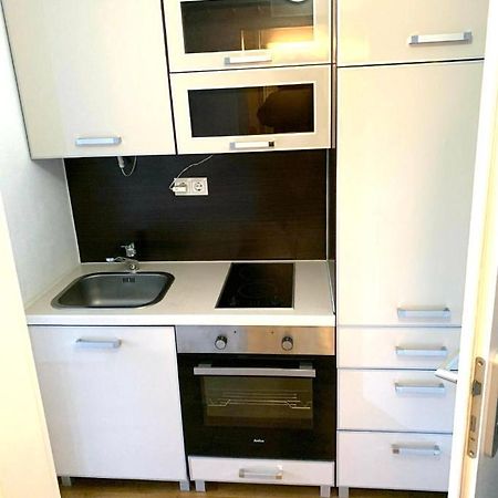 Beautiful Premium Apartment, Near University , Wifi , Free Parking Ratisbona Exterior foto