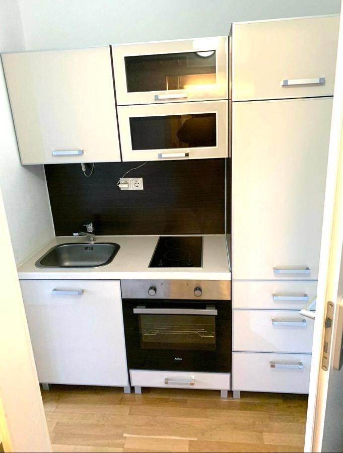 Beautiful Premium Apartment, Near University , Wifi , Free Parking Ratisbona Exterior foto